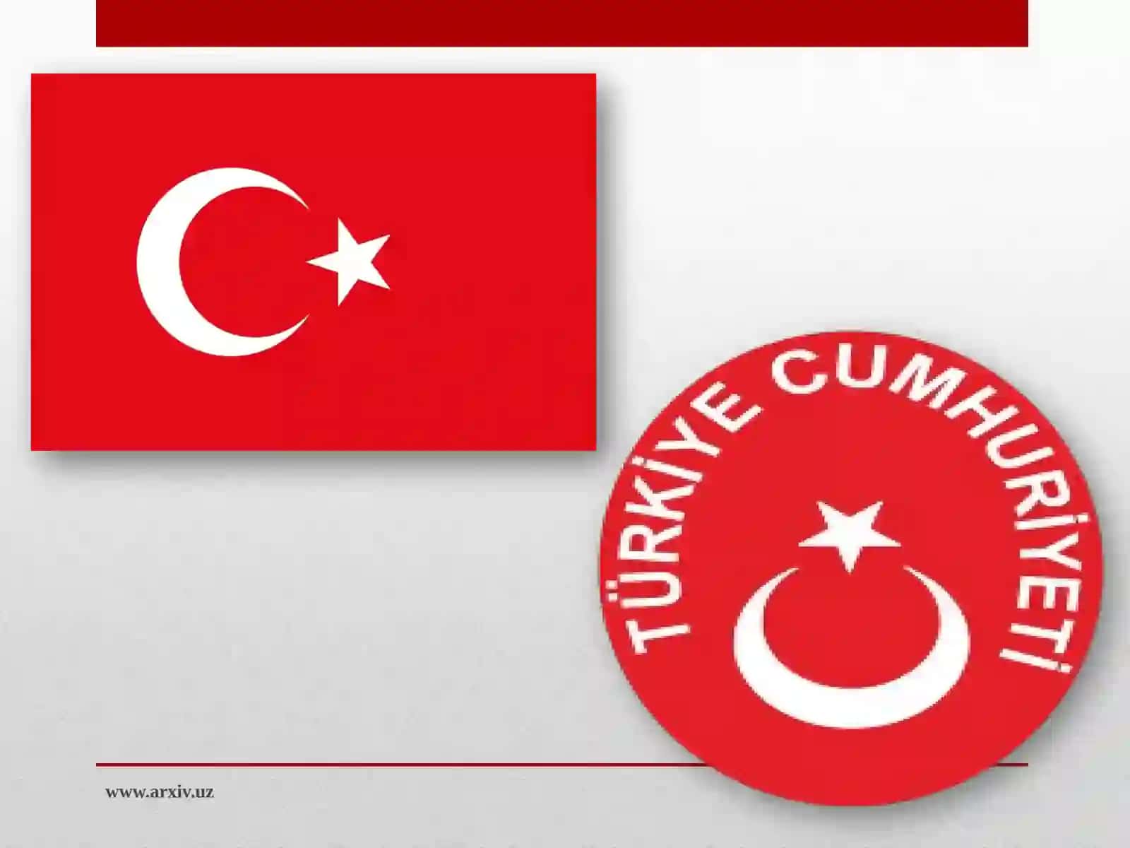 Turkiya davlat tuzumi 2