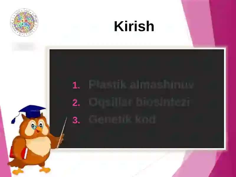 Plastikalmashinuv 2