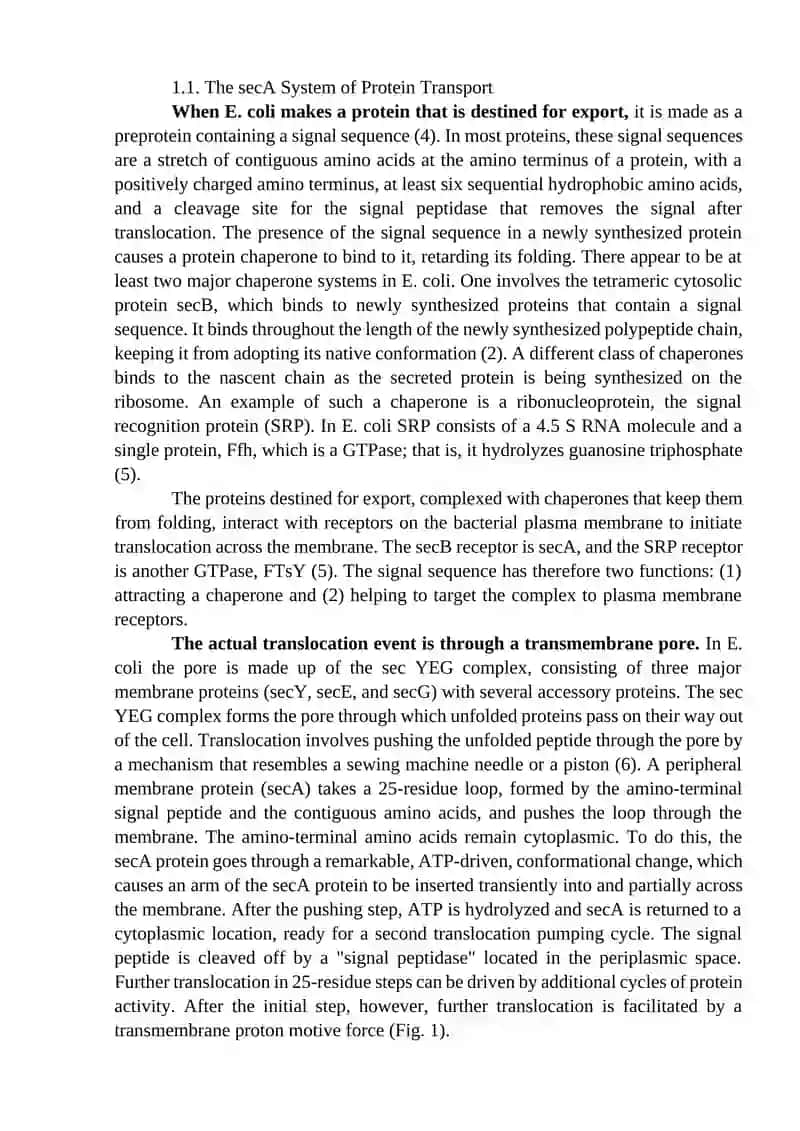 Protein Secretion (Molecular Biology) 2