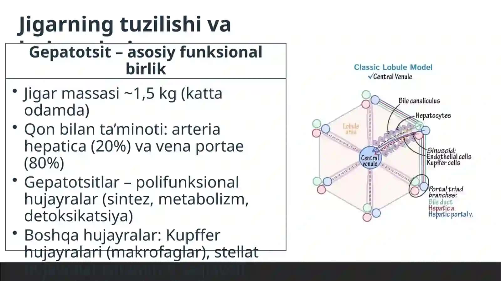 Jigar biokimyosi 2