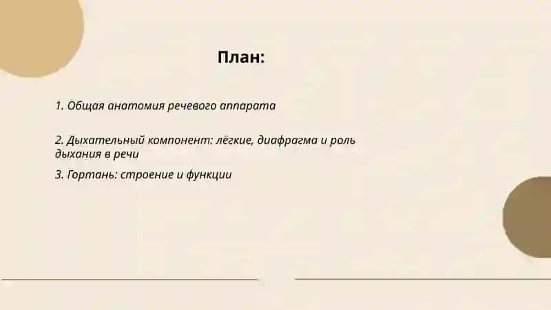Устройство речевого аппарата 2