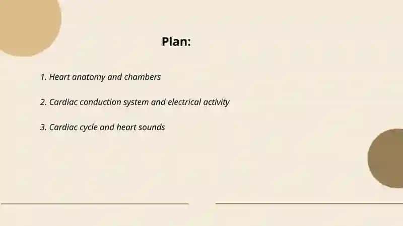 Circulatory system 2
