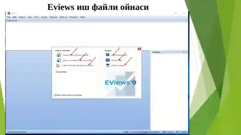 Eviews 2