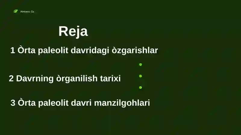 Òrta paleolit davri manzilgohlari 2