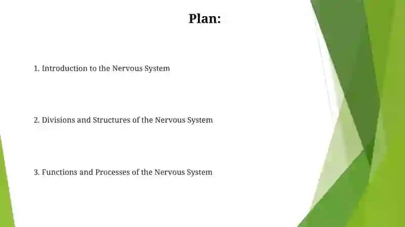 Nervous System 2