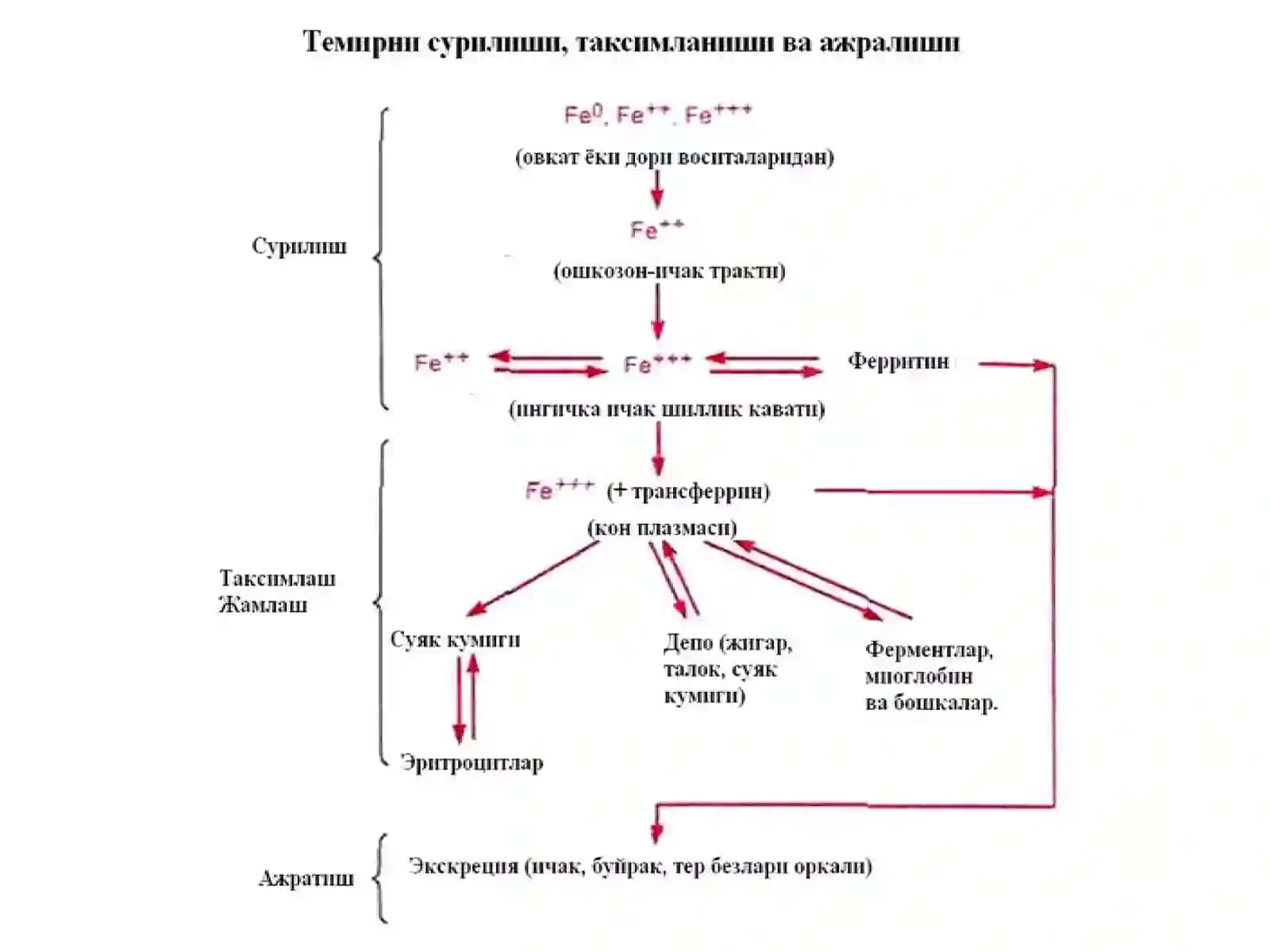 Темир сульфат –Ferri sulfas(табл.,капс) 2