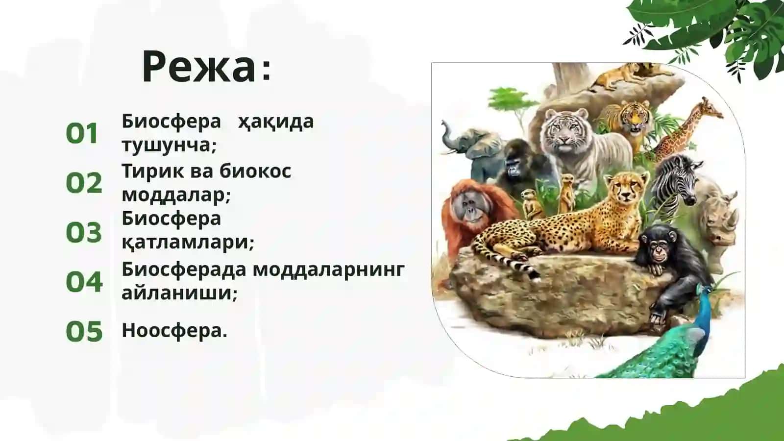 Биосфера ҳақида таълимот 2