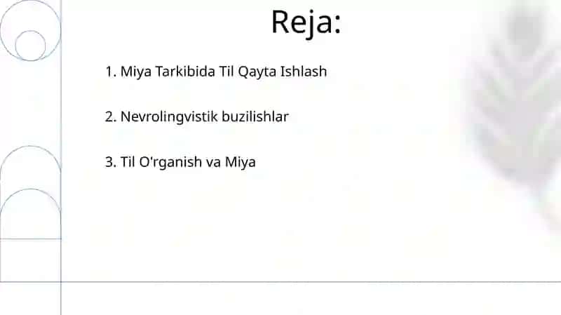 Neyrolingvistika 2