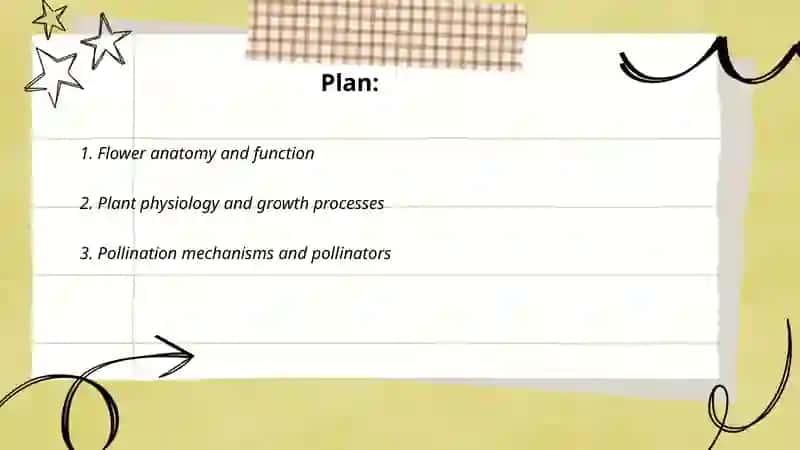 Flovers and plan 2
