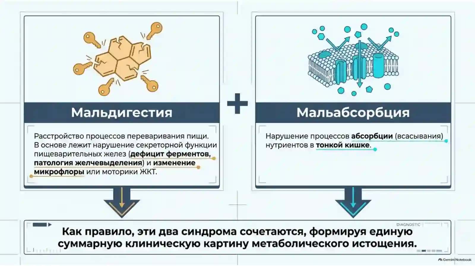 Ппт по теме жкт:Синдром мальдегистии 2