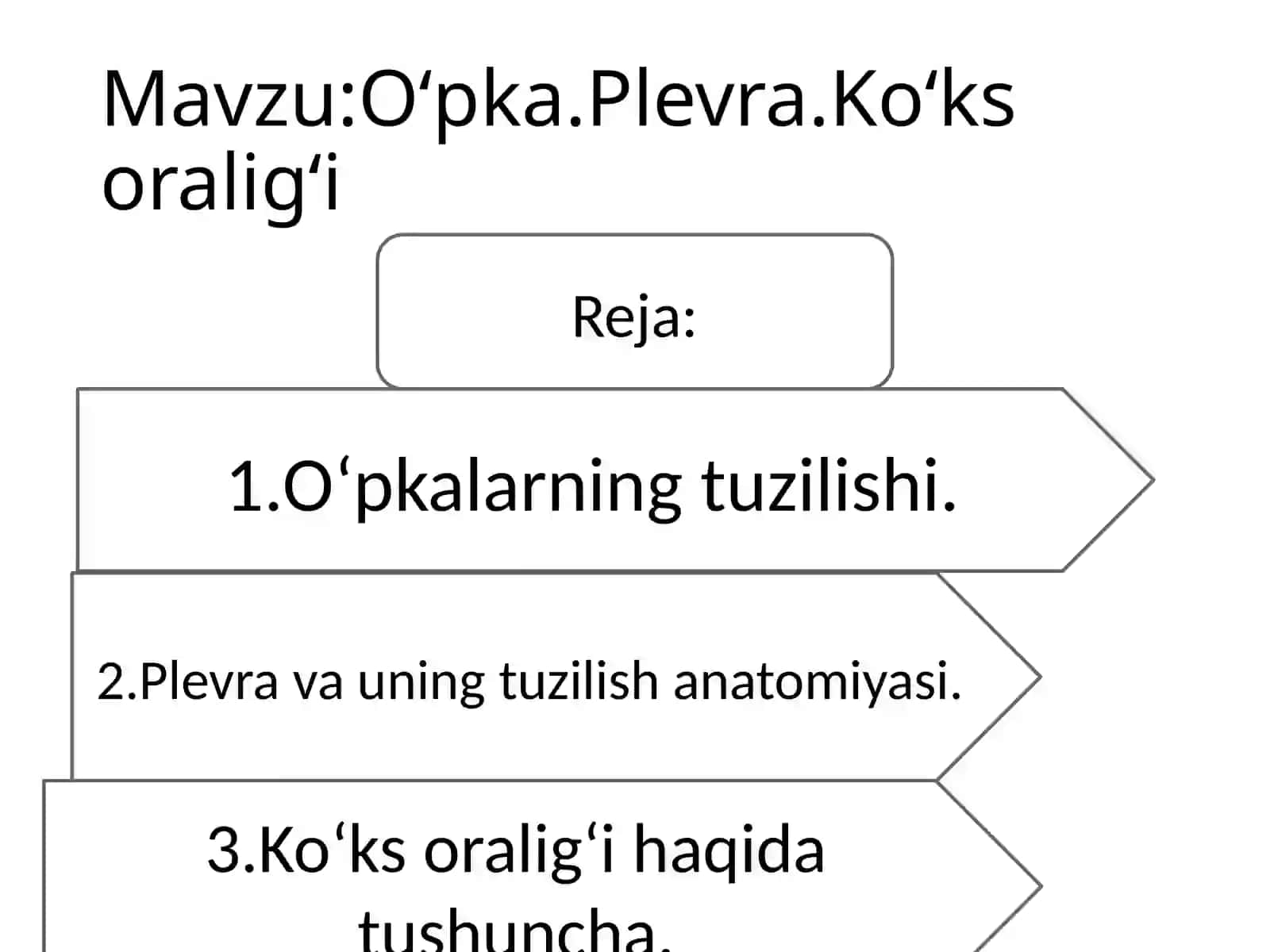 Oʻpka.Plevra.Koʻks oraligʻi 2