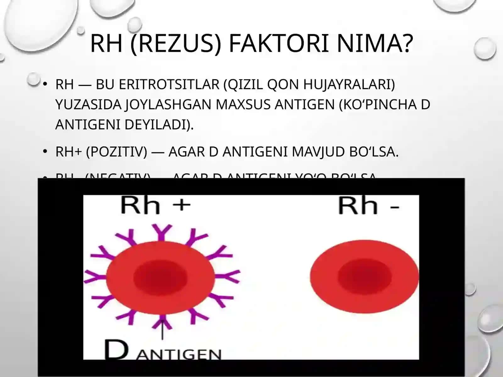 Akusherlikda Rezus-omil vauning Patogenezi 2