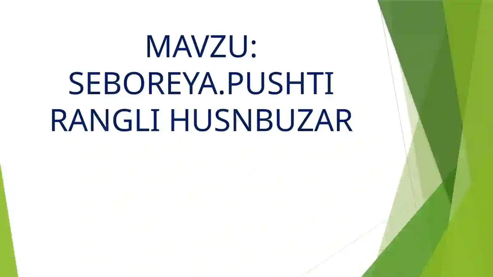 SEBOREYA PUSHTI RANGLI HUSNBUZAR 2