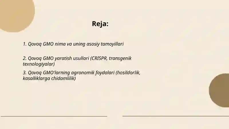 Qovoq GMO 2