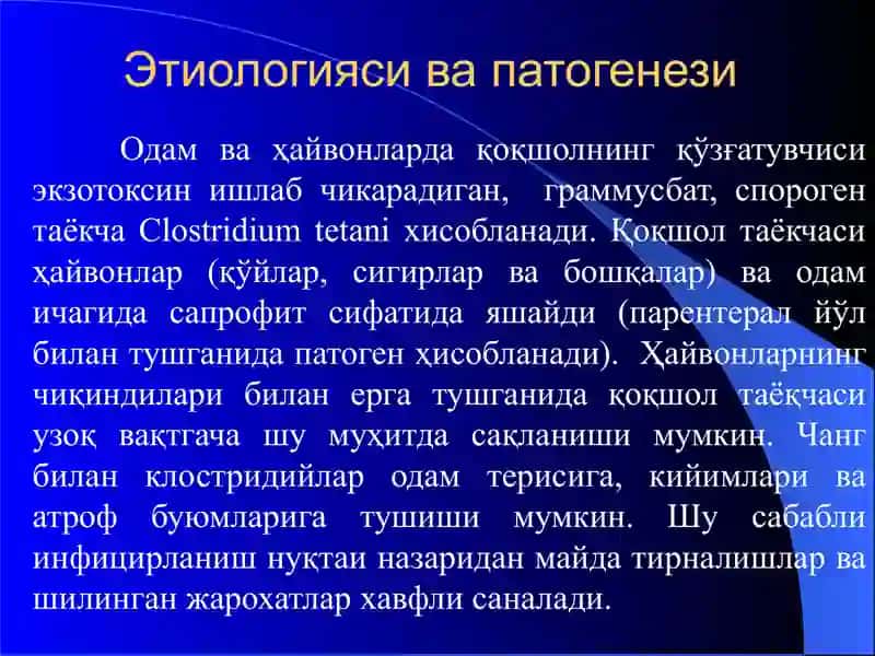 Қоқшол 2
