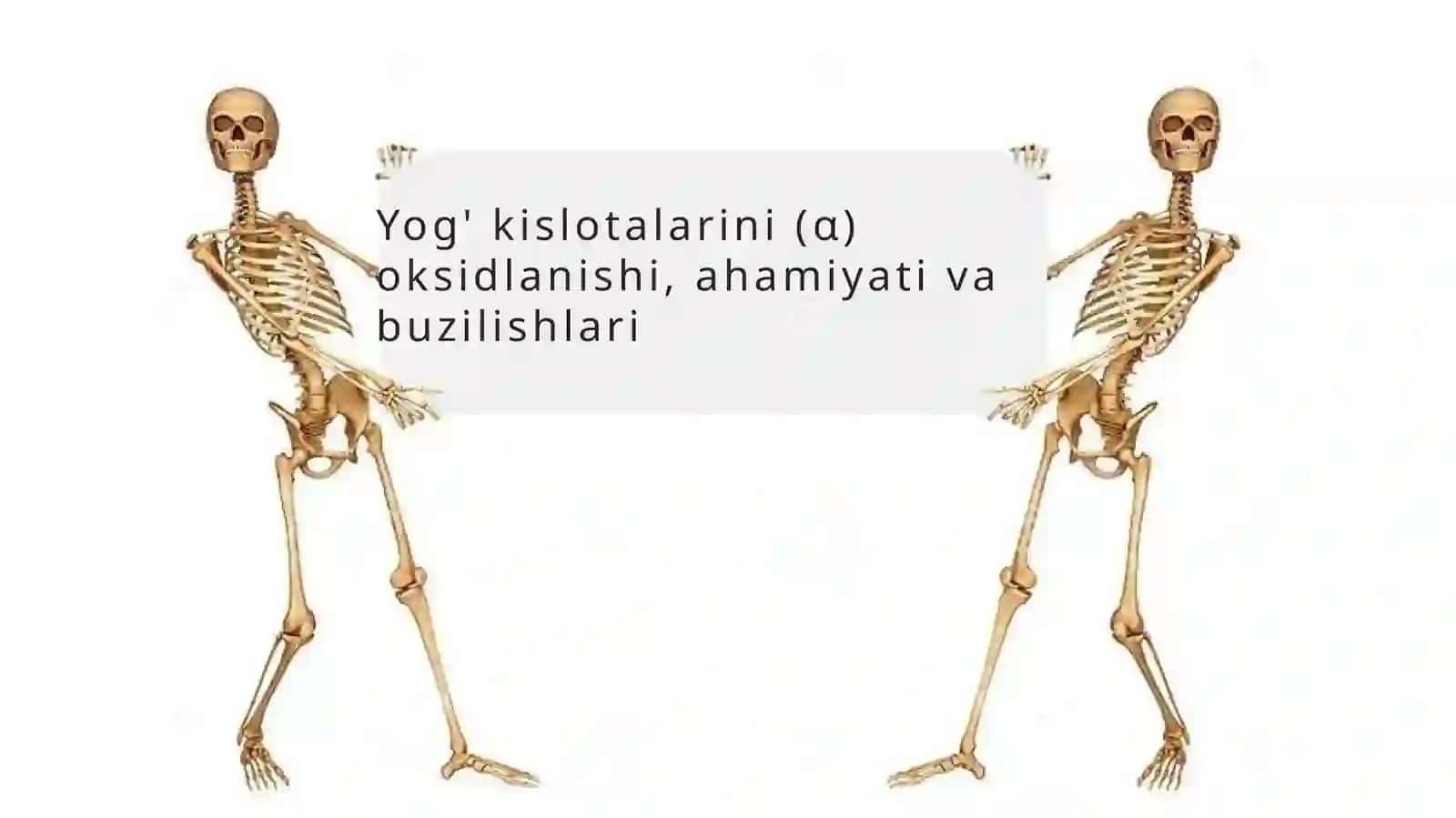Yog' kislotalarini alfa oksidlanishi 2