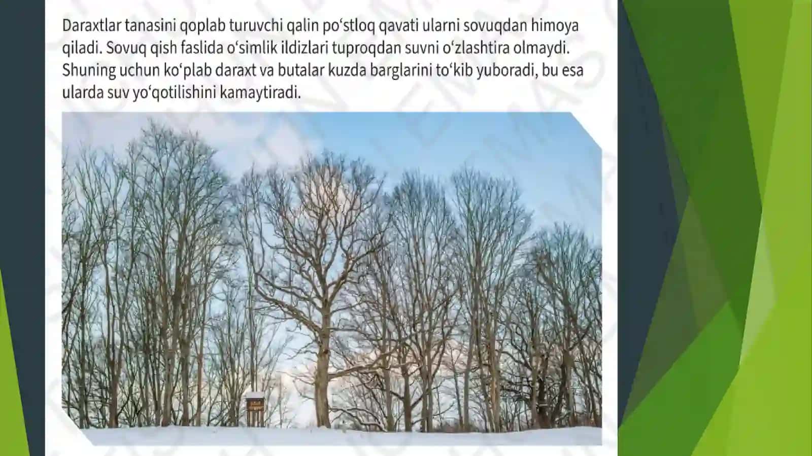 Moslanishlar 2