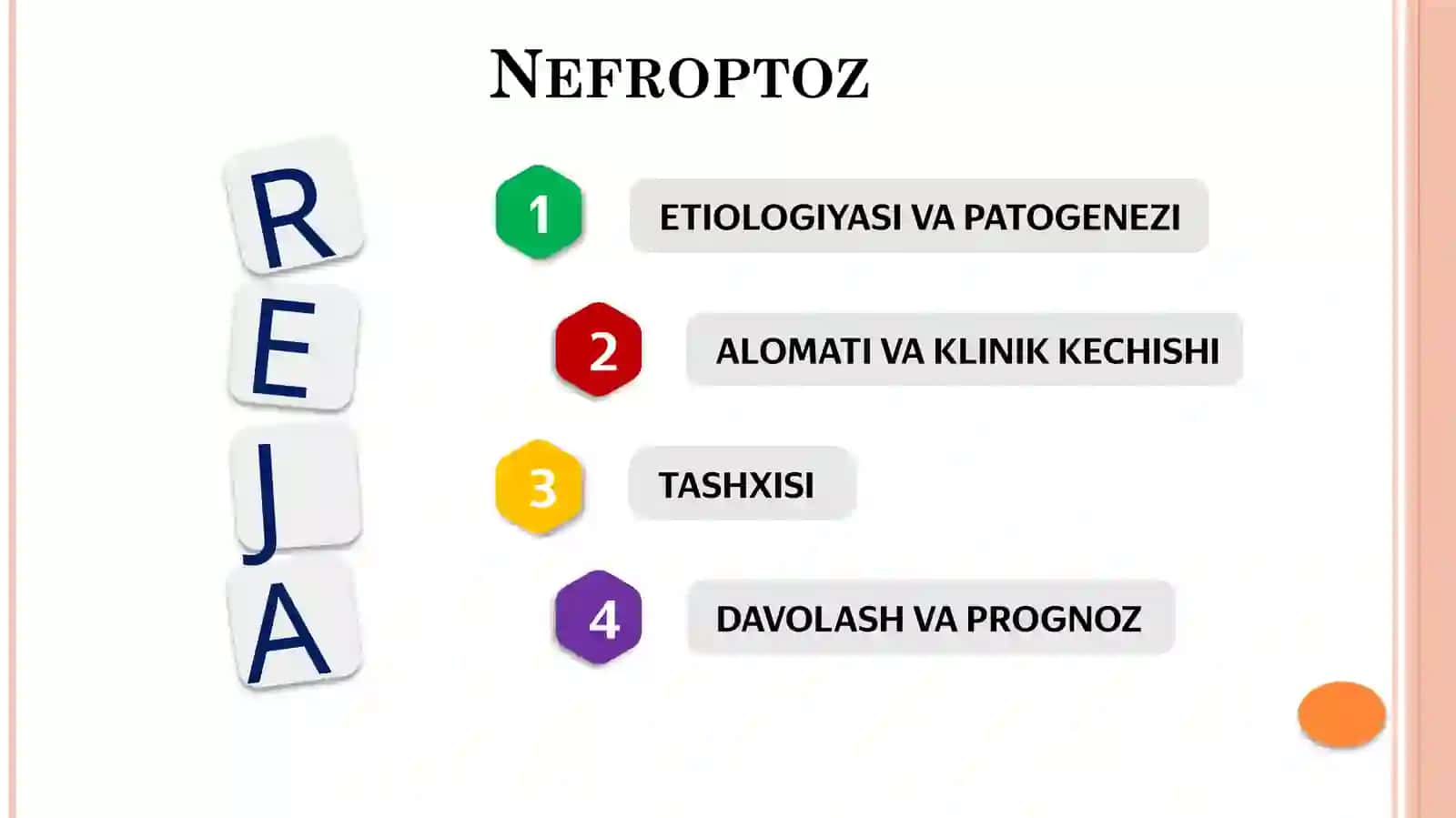 Nefroptoz 2