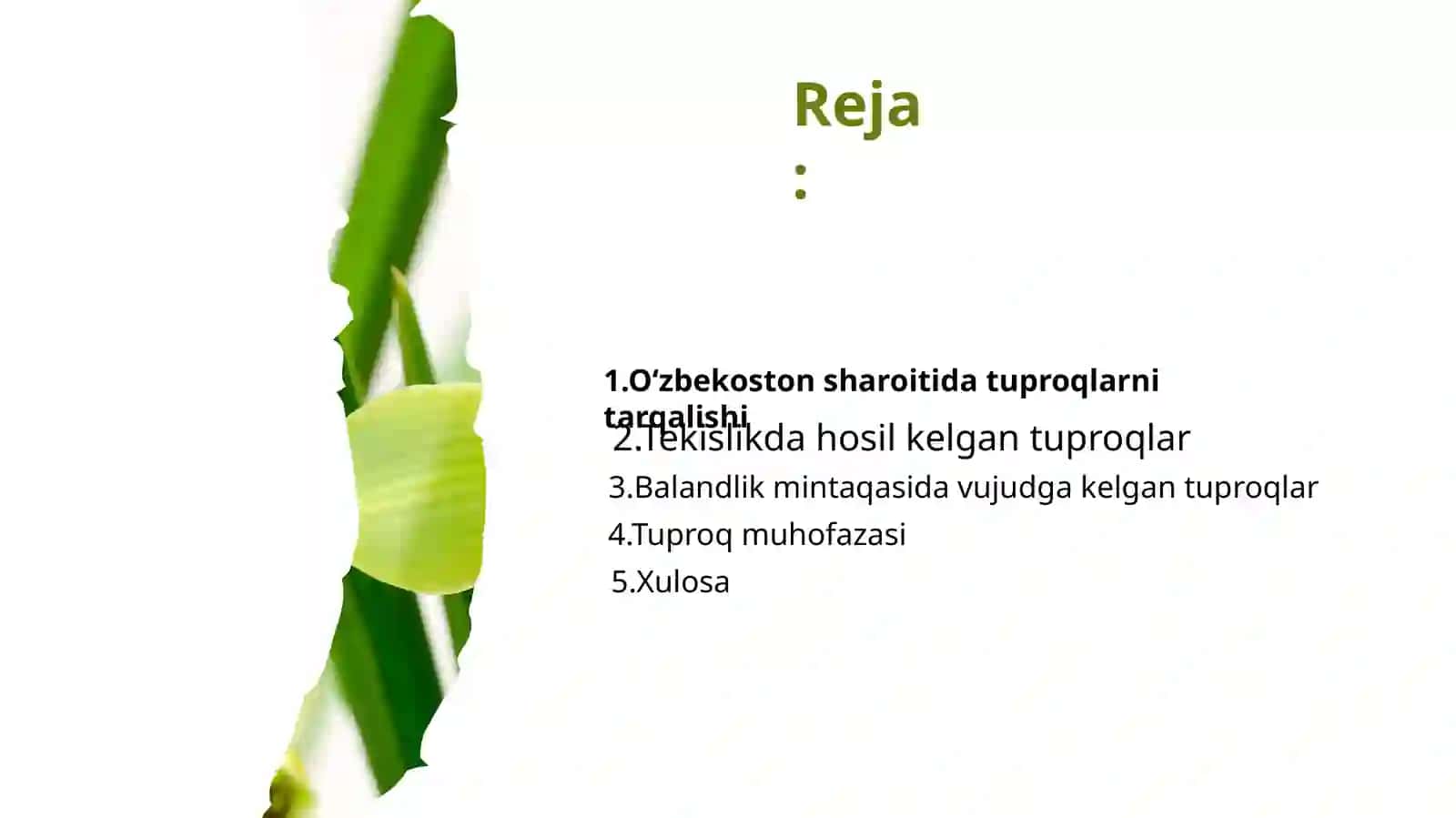 Tuproqlar 2