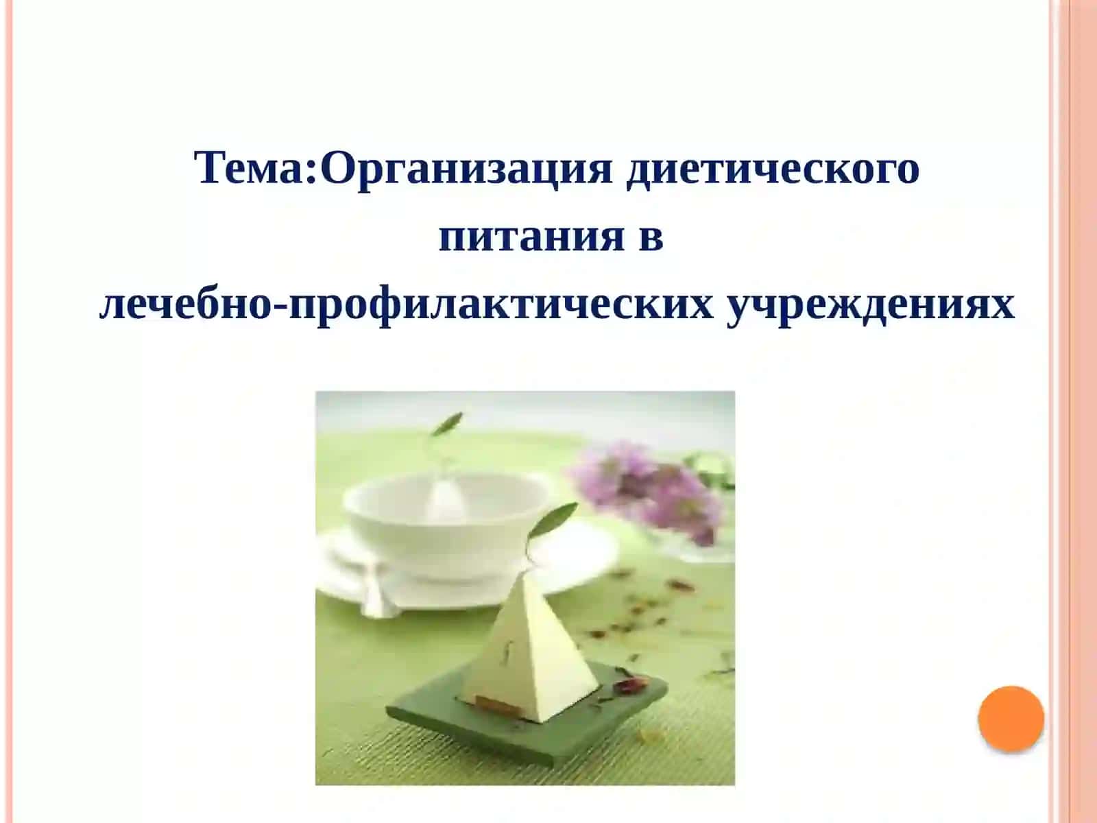 ГИГИЕНА ПИТАНИЯ 2