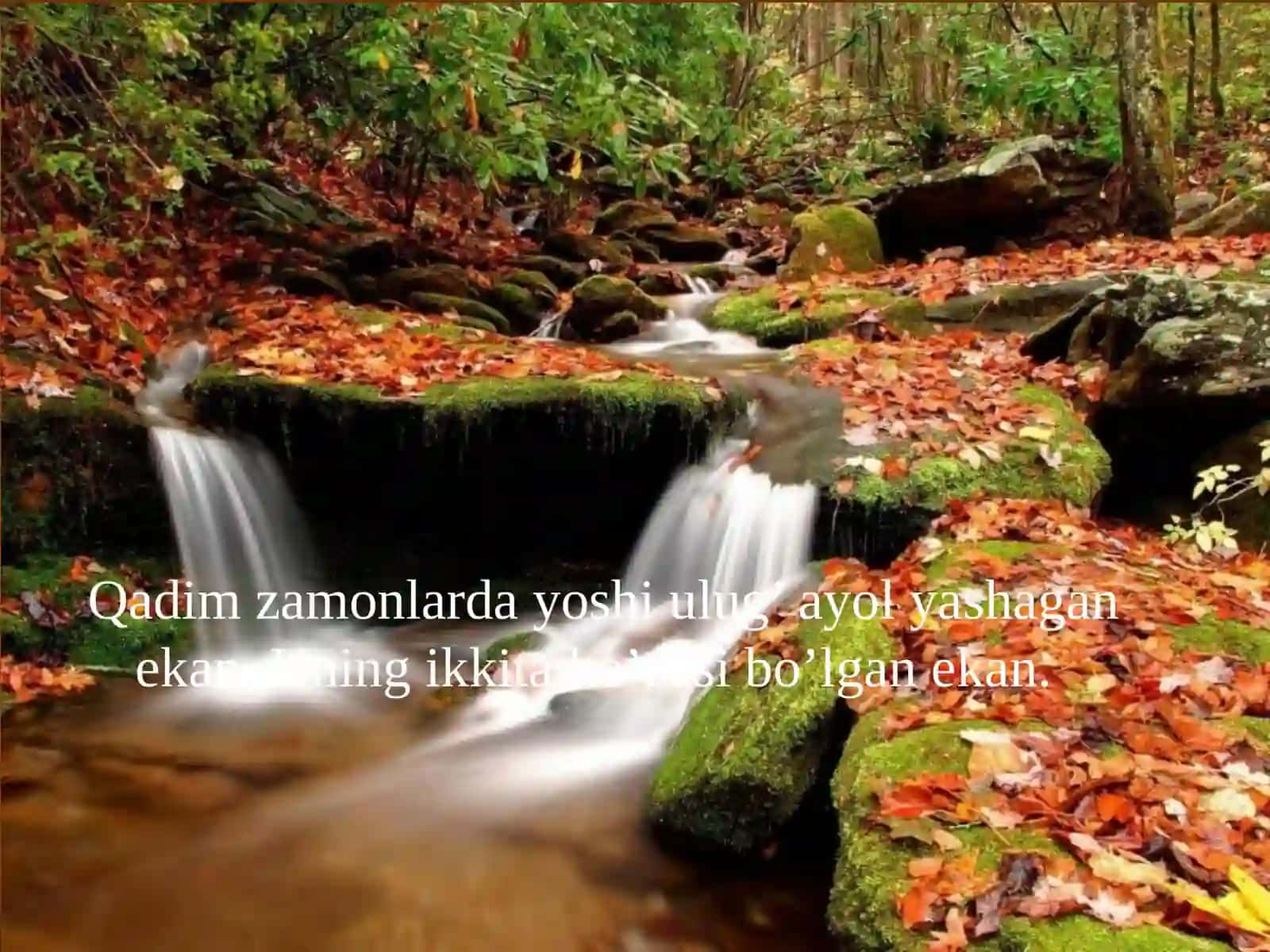Тўлақонли эмаслик ҳисси 2