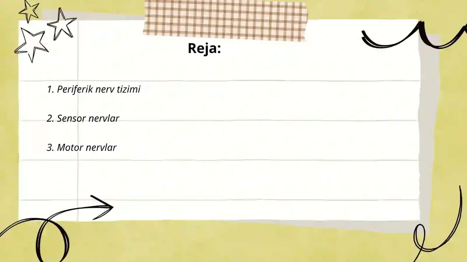 Adashgan nerv anatomiyasi 2