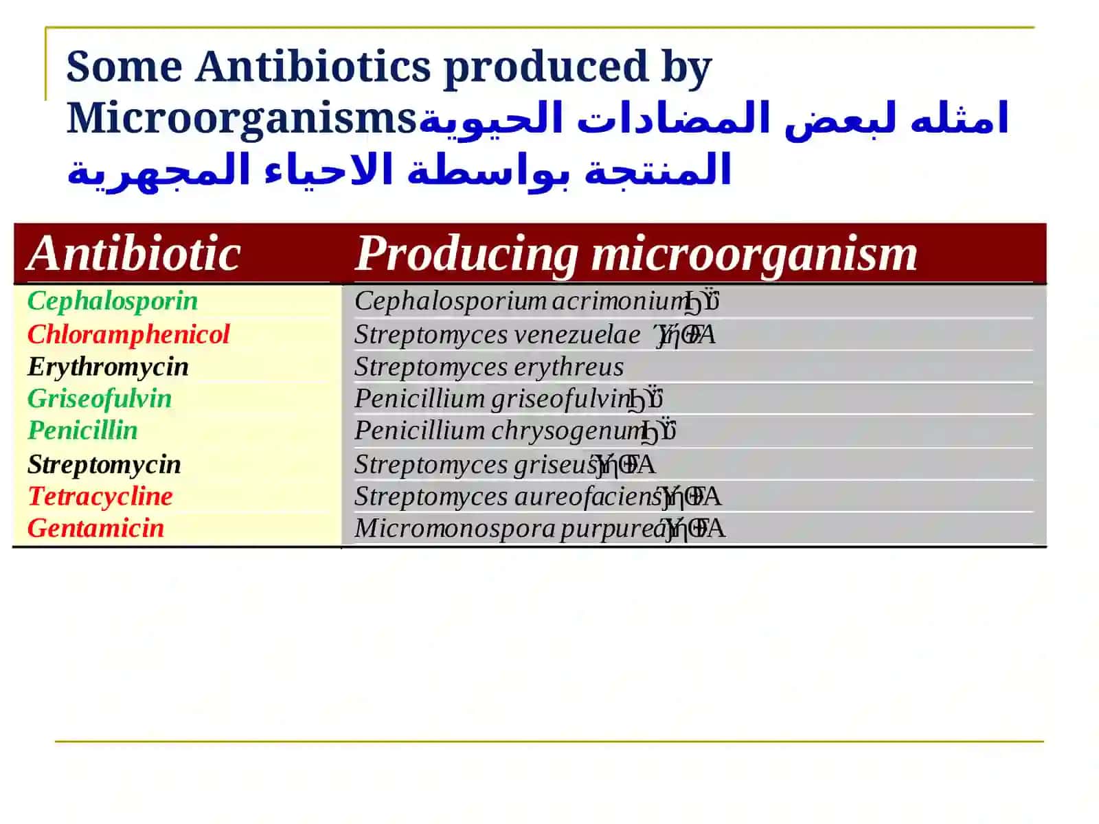 Antibiotics Production 2