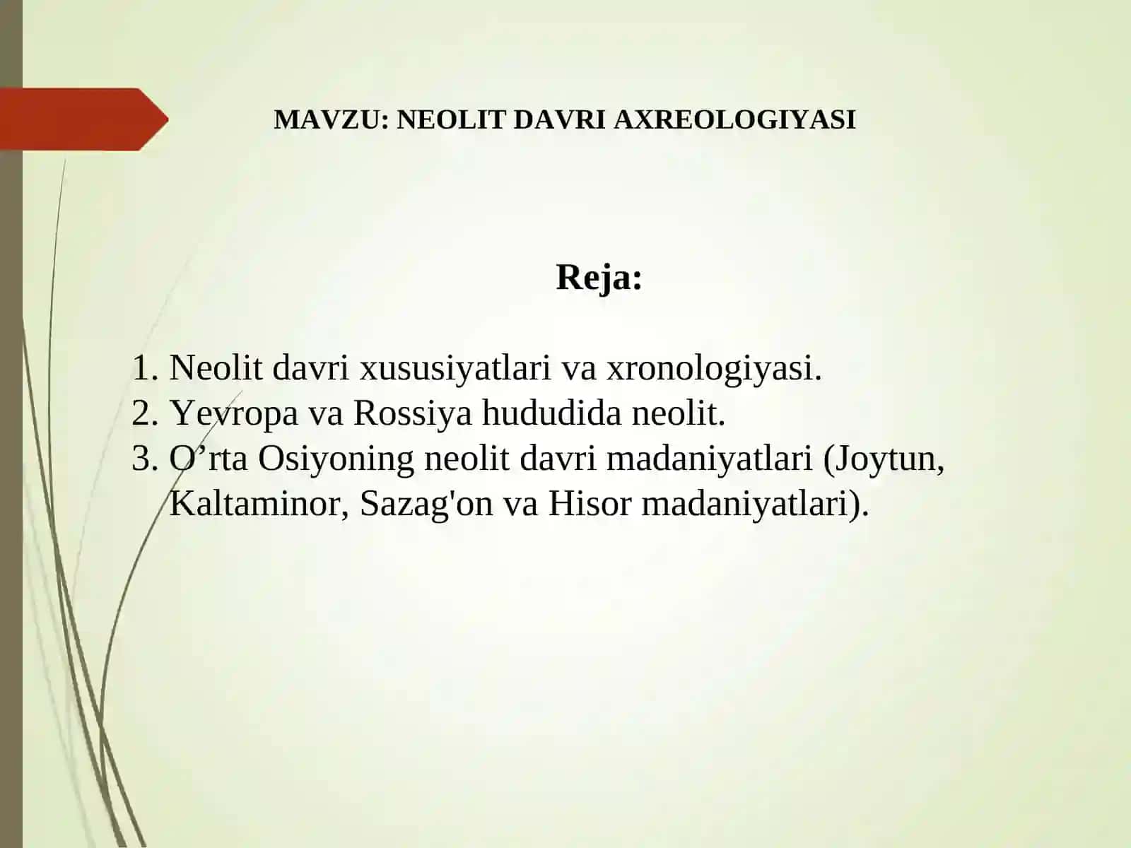 neolit davri arxeologiyasi slide 2