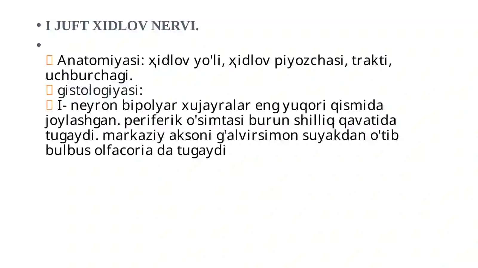 Hidlov Nervi 2