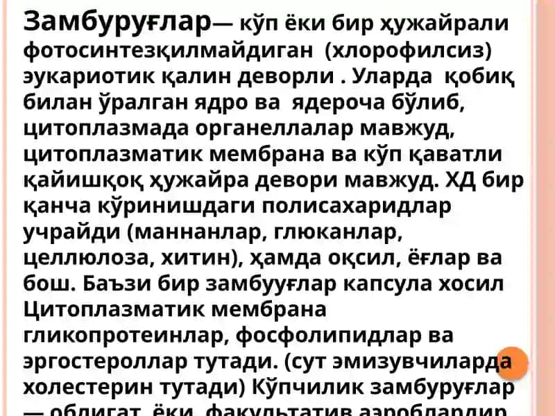 Замбуруғлар 2