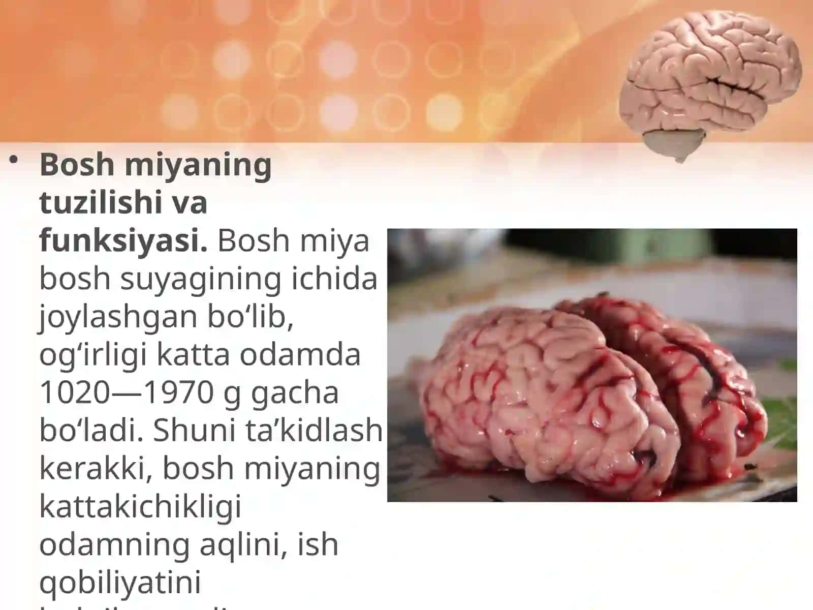 Miyava uning modulyatsiya tizimi 2