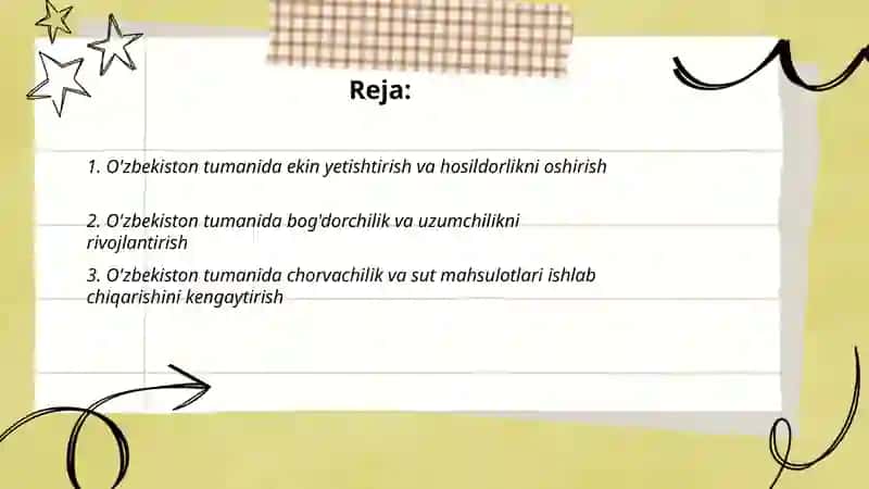 O'zbekiston tumani 2