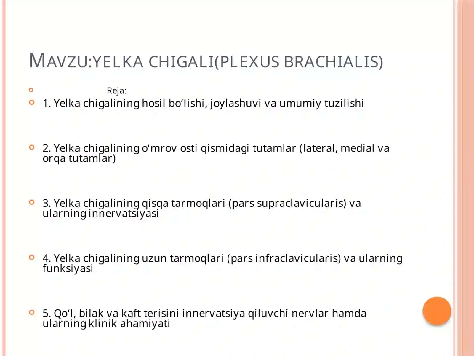 yelka chigali(plexus brachialis) 2