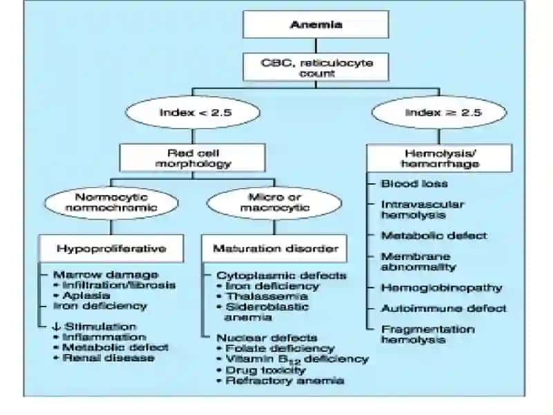 Hemolytic anemia 2