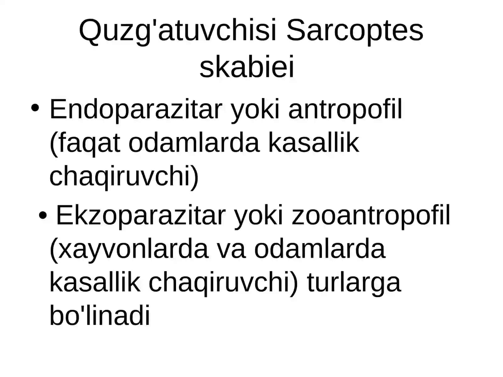 Qo'tir 2
