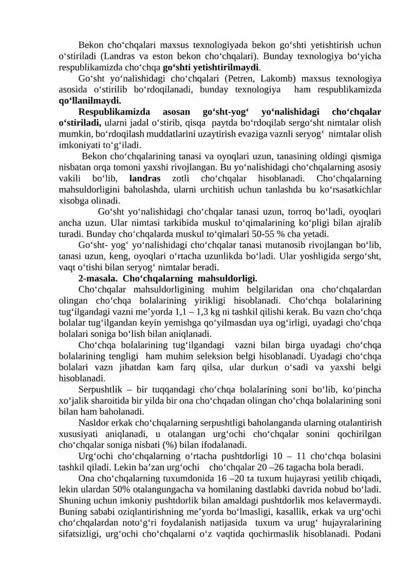 Cho‘chqachilik 2
