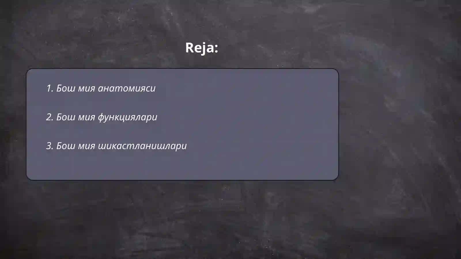 Бош мия анатомияси 2