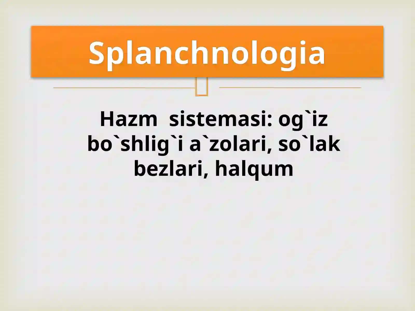 Splanchnologia 2