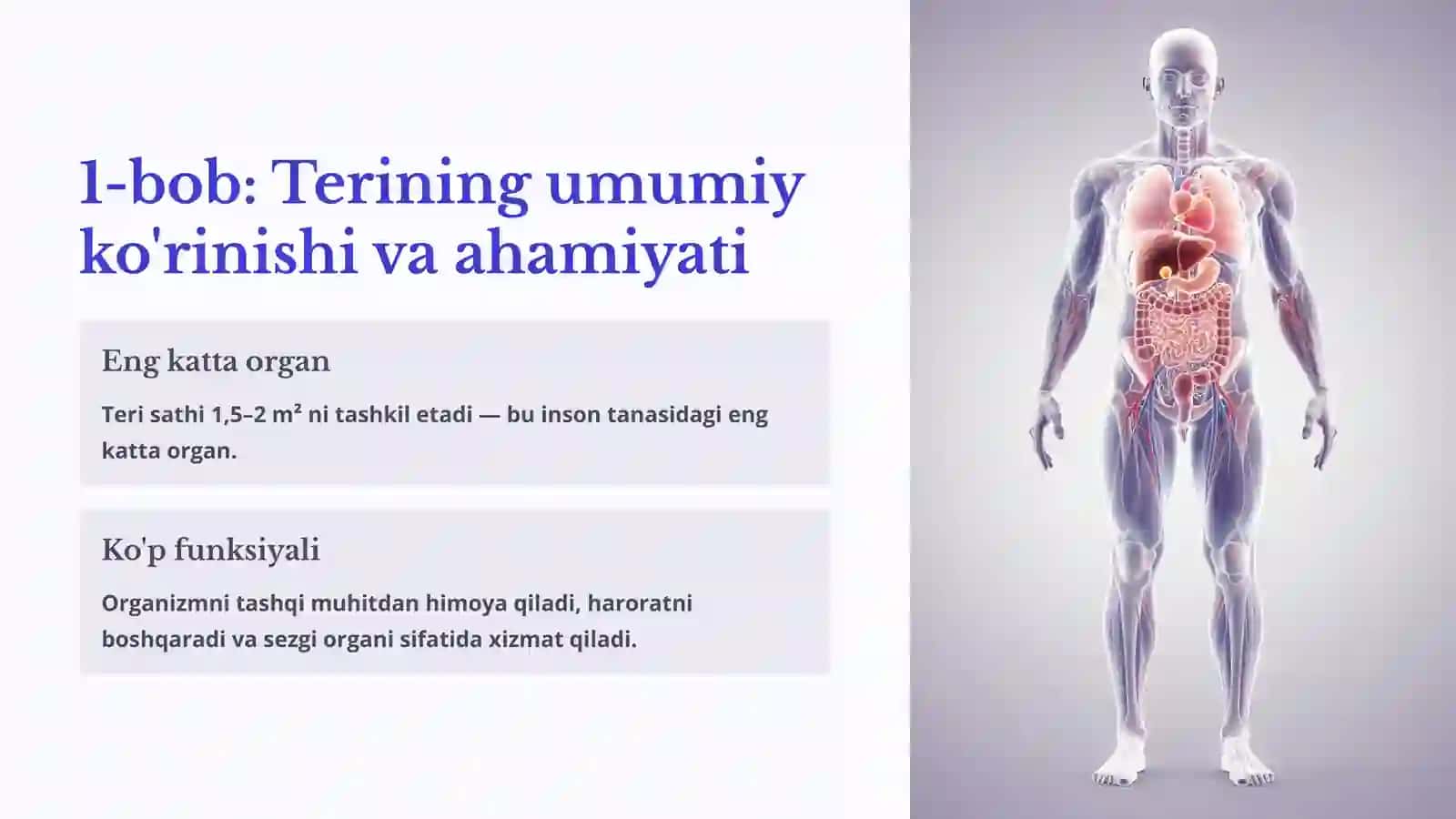 Terining tuzilishi va funksiyasi 2