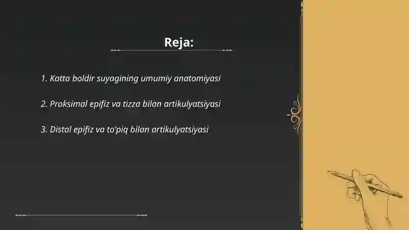 Katta boldir suyagi 2
