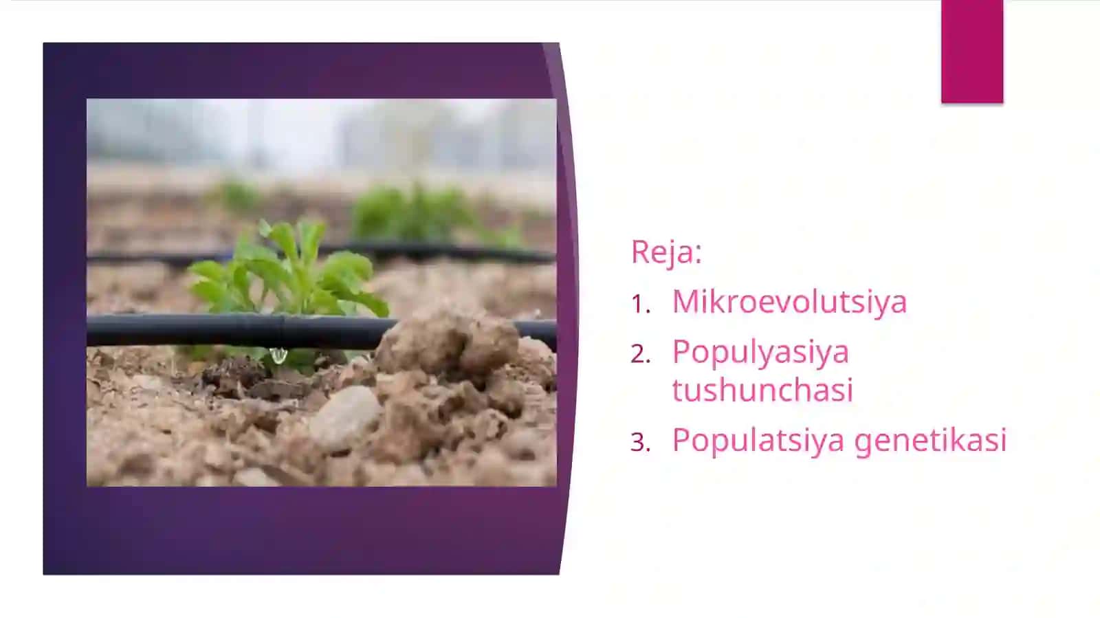 Mikroevolutsiya 2