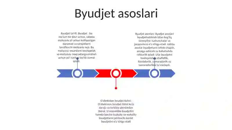 Byudjet Tizimi 2