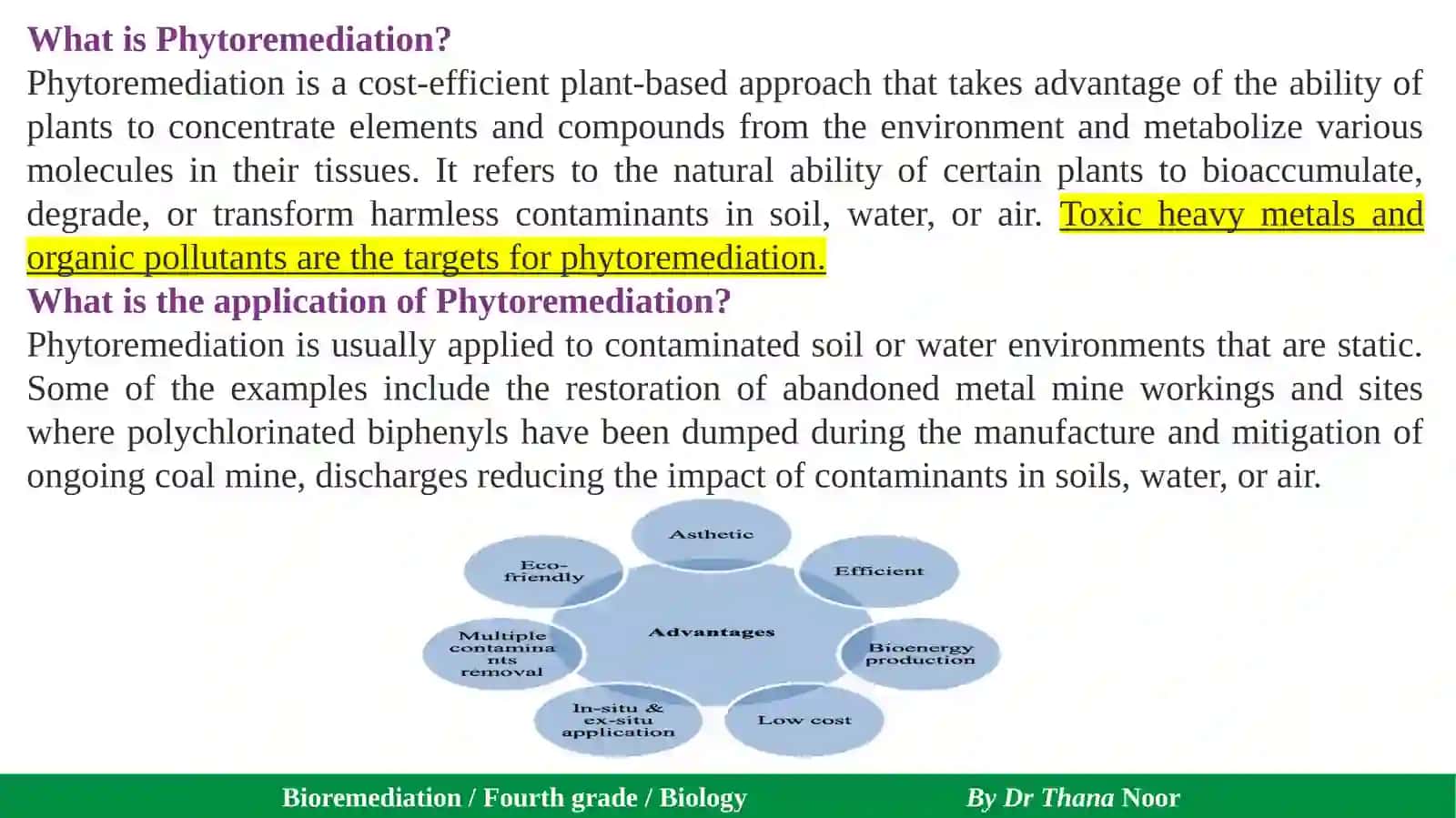 What is Phytoremediation? 2
