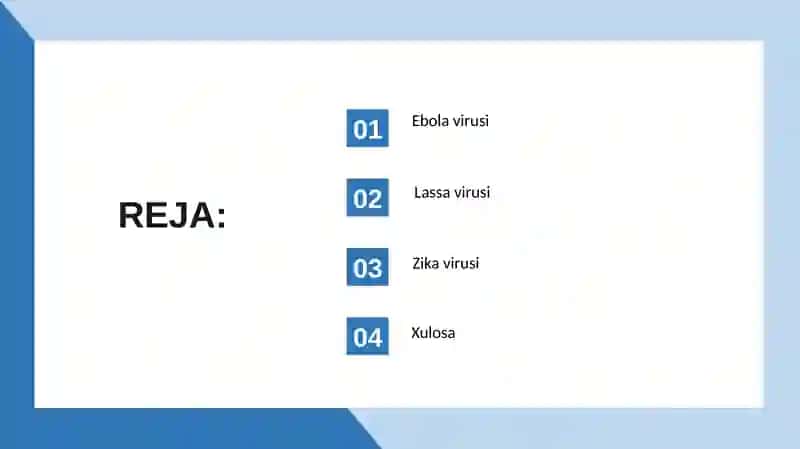 Ebola, Lassava, Zika virusi 2