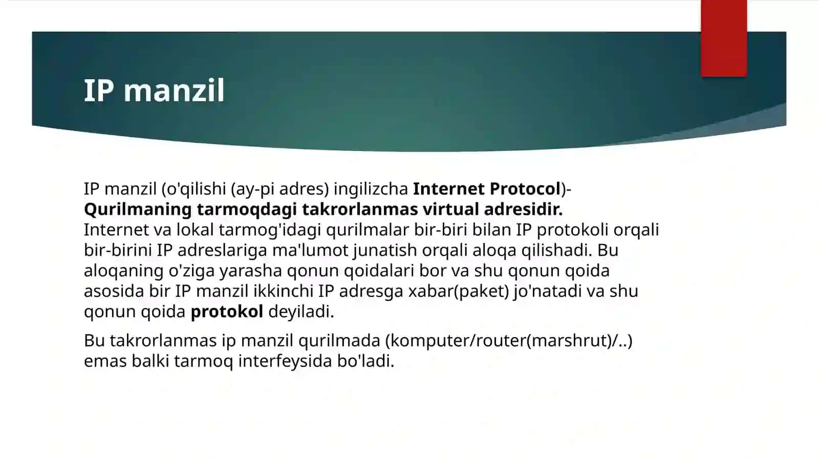 IP manzil 2