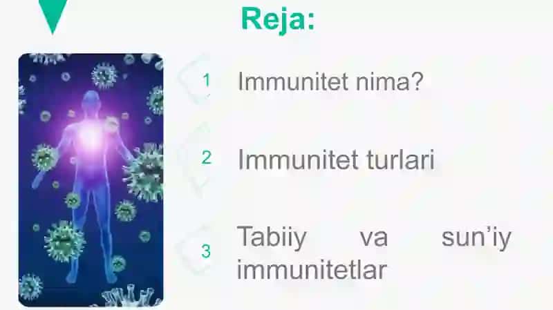 Immunitet 2