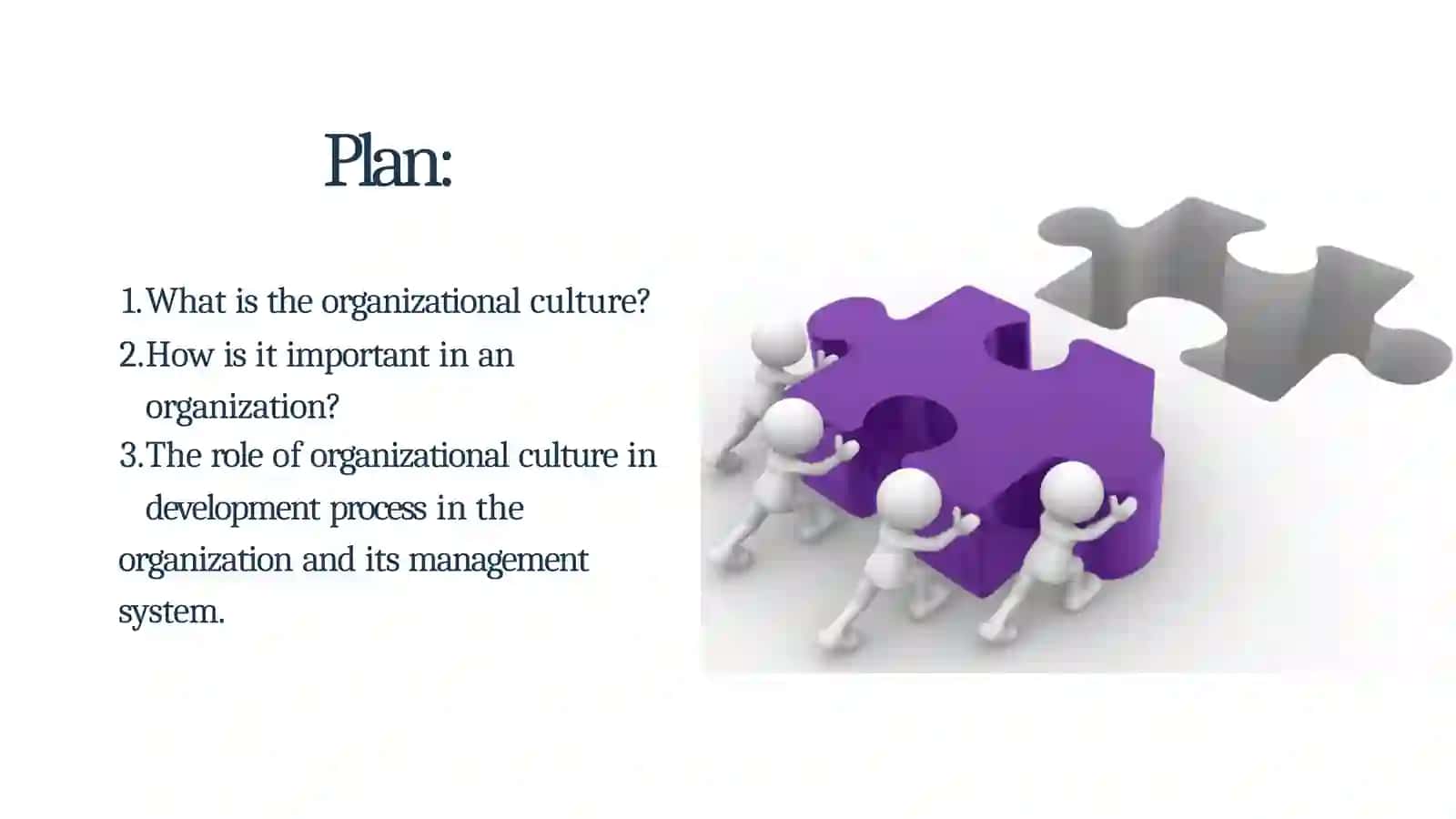 Organizational culture and its development in management 2