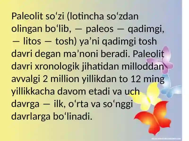 Paleolit davri 2