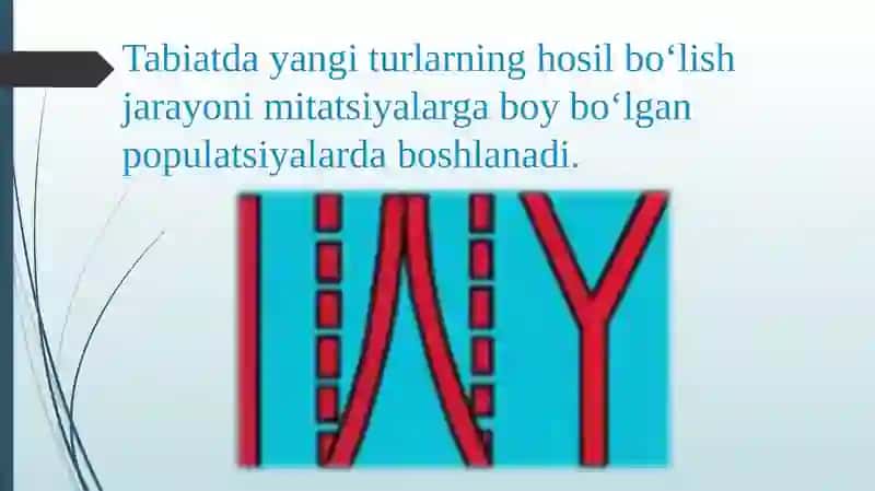 Turlarning paydobo`lishi 2