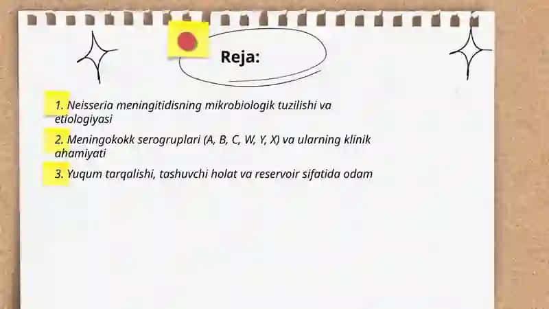 Meningokokk infeksiyasi 2